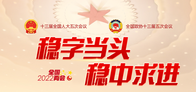 【聚焦全國(guó)兩會(huì)】代表委員談電力(一)